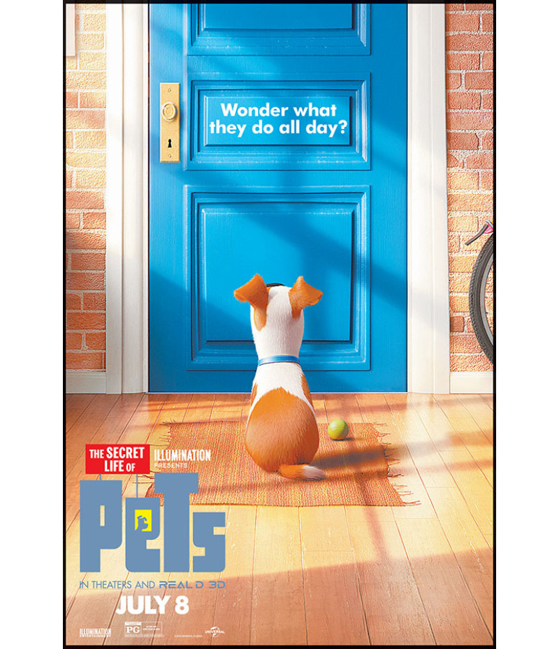 Poster Pets - Vida Secreta Dos Bichos - Filmes - Infantis