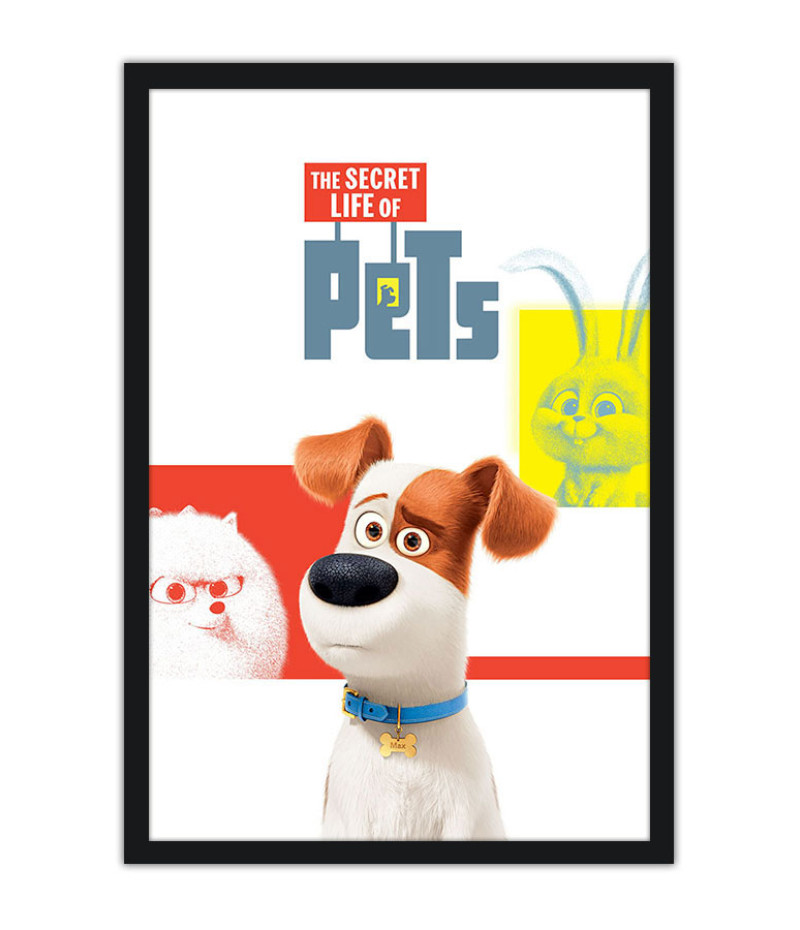 Poster Pets - Vida Secreta Dos Bichos - Filmes - Infantis