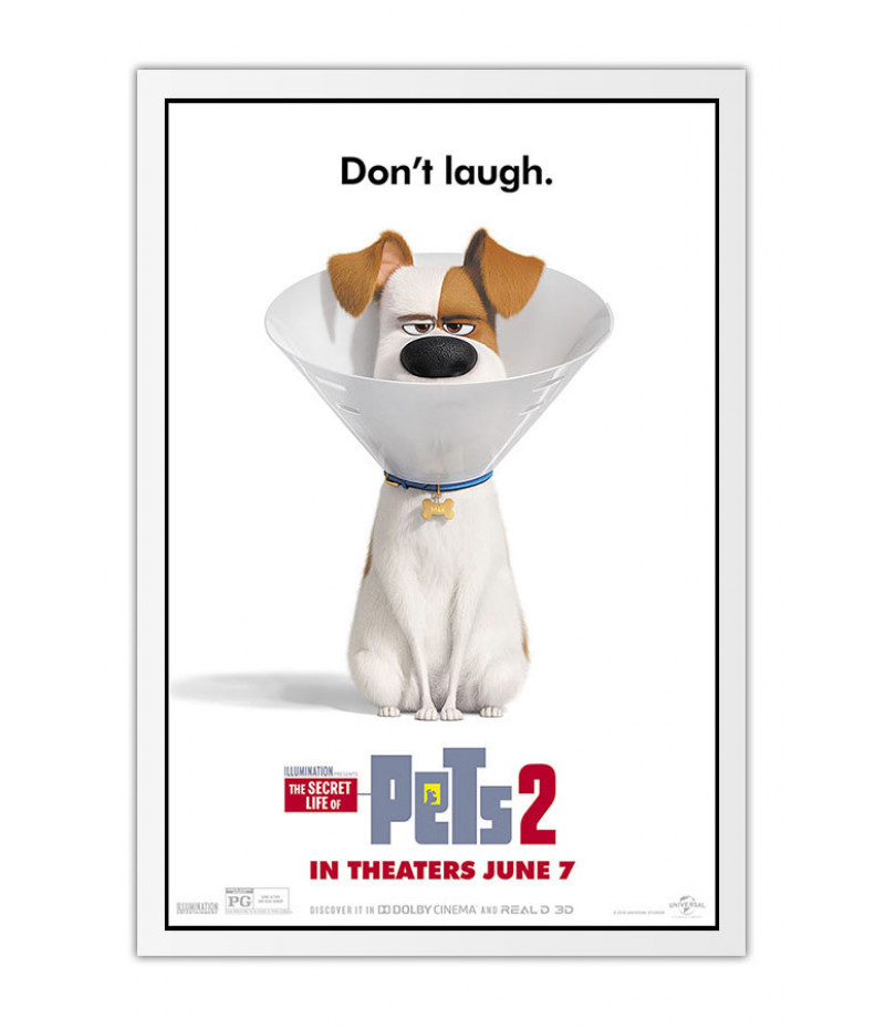 Poster Pets - Vida Secreta Dos Bichos - Filmes - Infantis