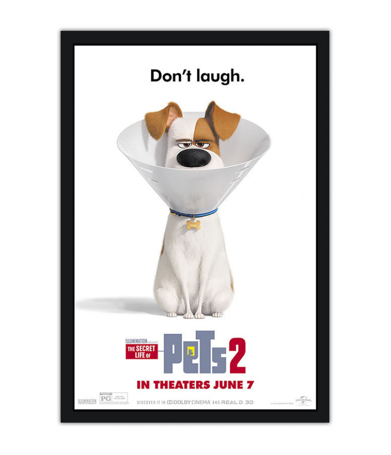 Poster Pets - Vida Secreta Dos Bichos - Filmes - Infantis