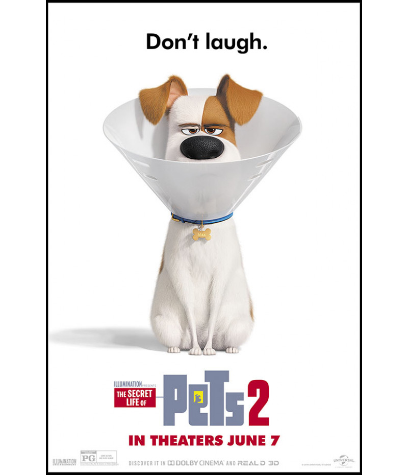 Poster Pets - Vida Secreta Dos Bichos - Filmes - Infantis