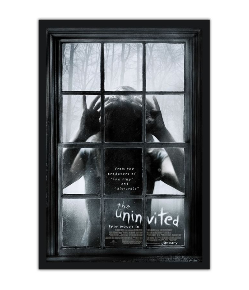 Poster Duas Irmas - Uninvited Miterio