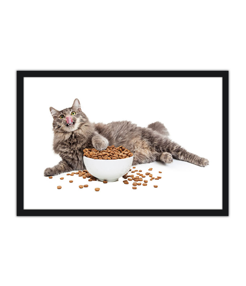 Poster Gato - Animais