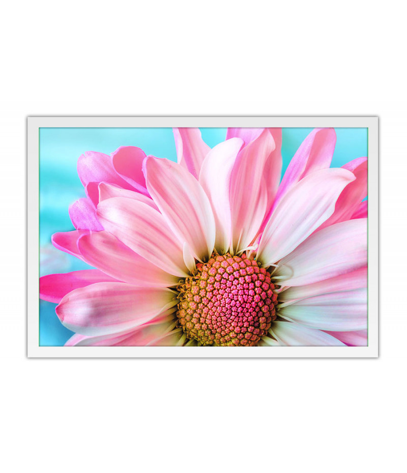 Poster - Flores