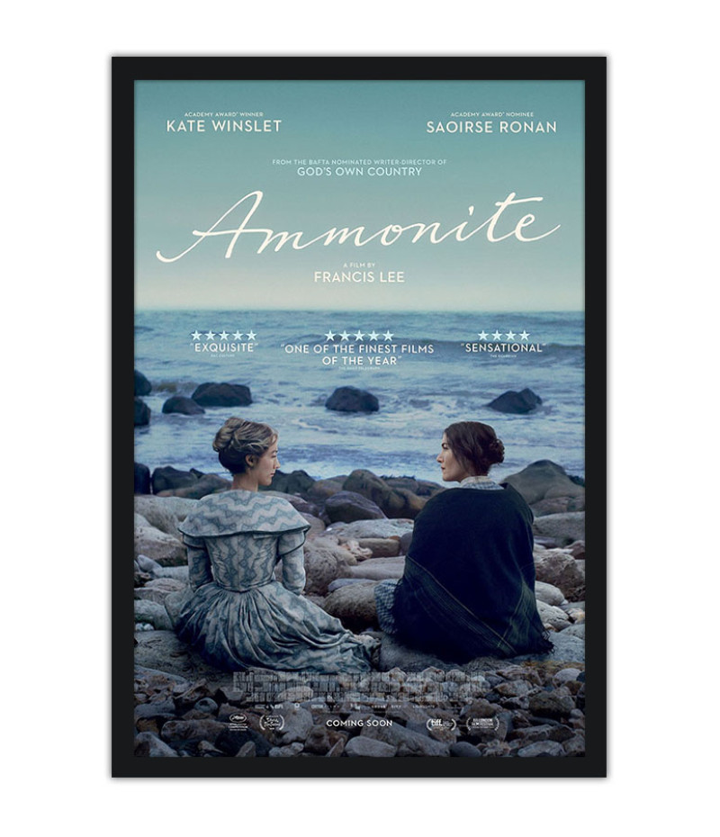 Poster Ammonite - Filmes