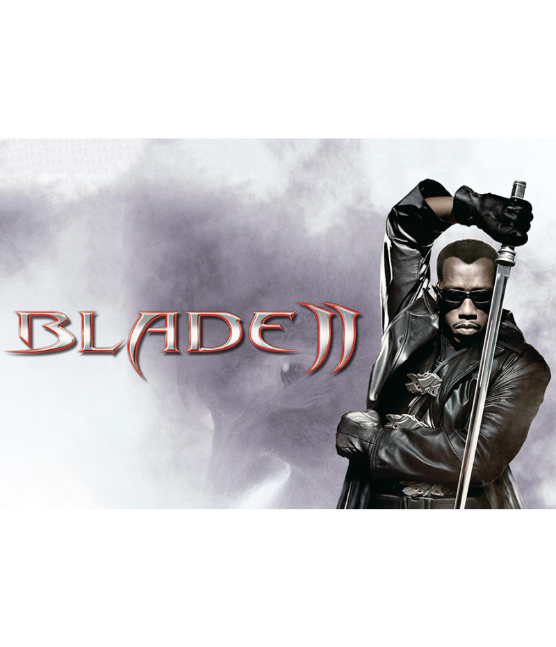 Poster Blade 2 - Filmes