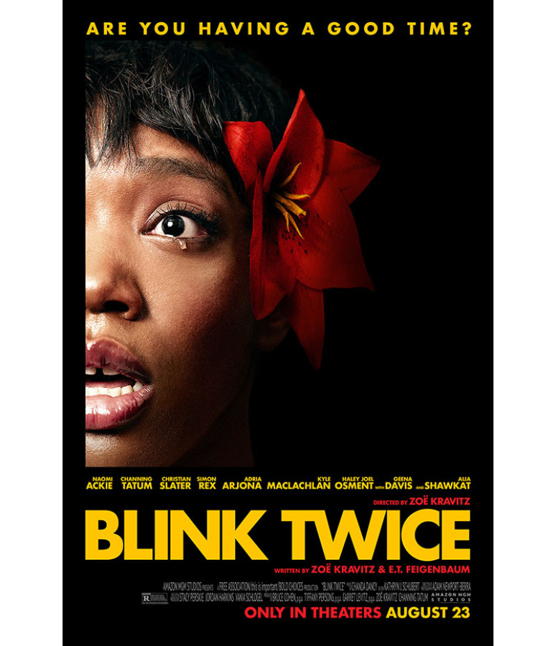 Poster Blink Twice - Pisque Duas Vezes - Filmes