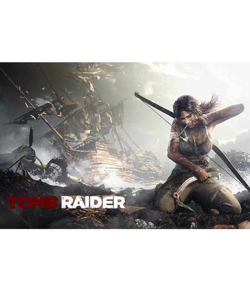 Poster Tomb Raider 20