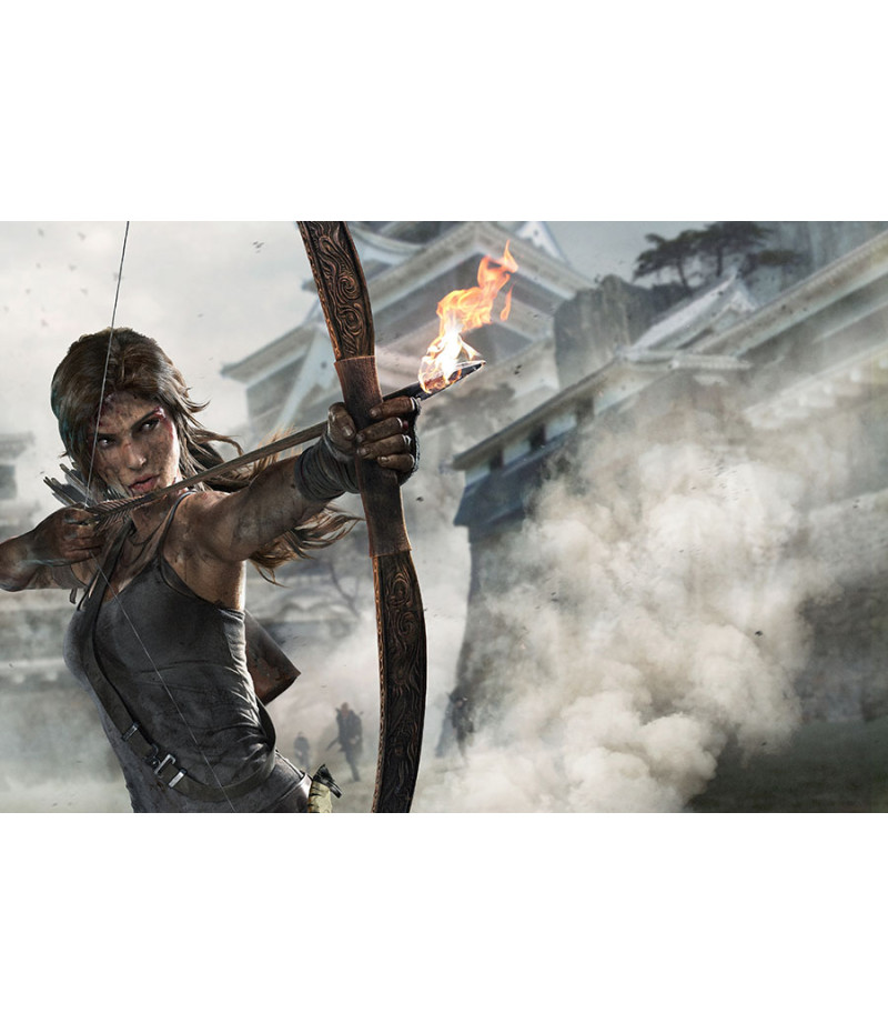 Poster Tomb Raider 2013