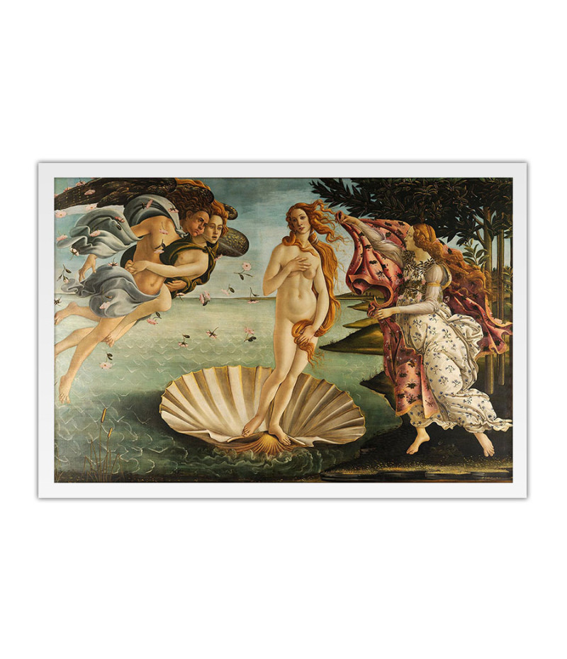 Poster Michelangelo - Birth of Venus - Obras de Arte
