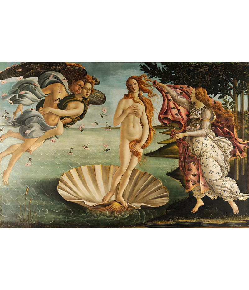 Poster Michelangelo - Birth of Venus - Obras de Arte