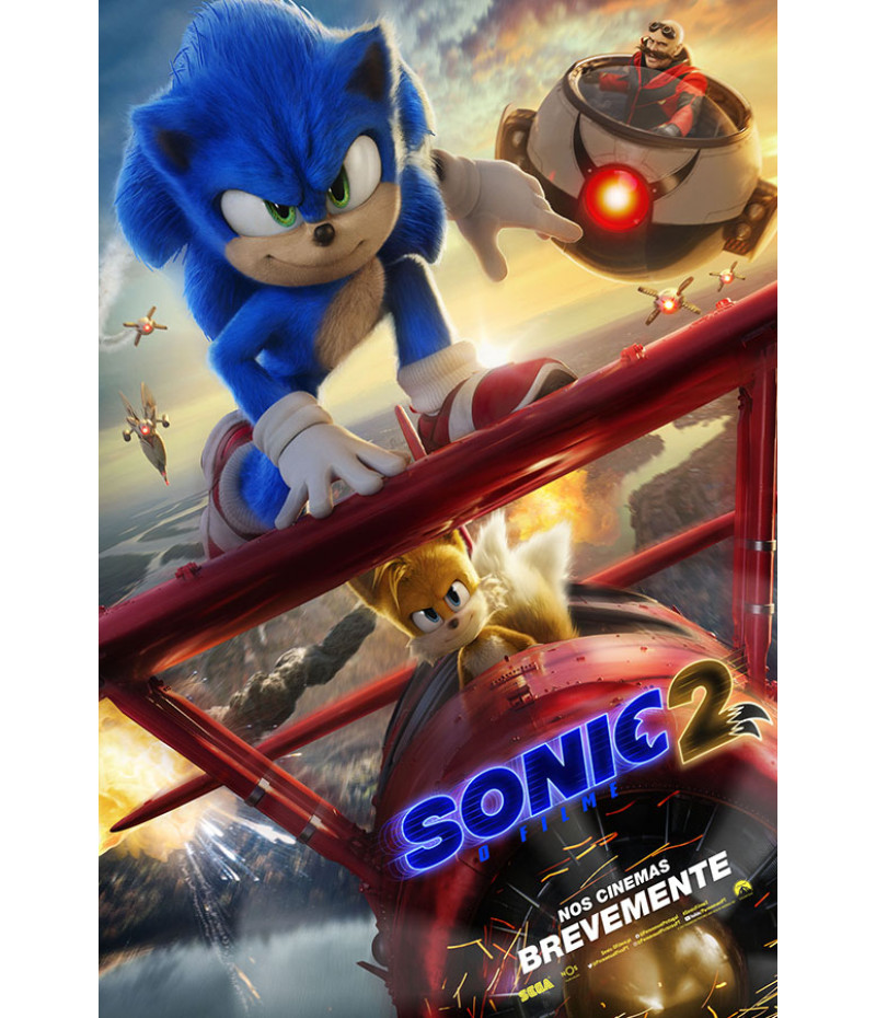 Quadro Decorativo Poster Desenho Sonic Game Infantil 2 em Promoção na  Americanas
