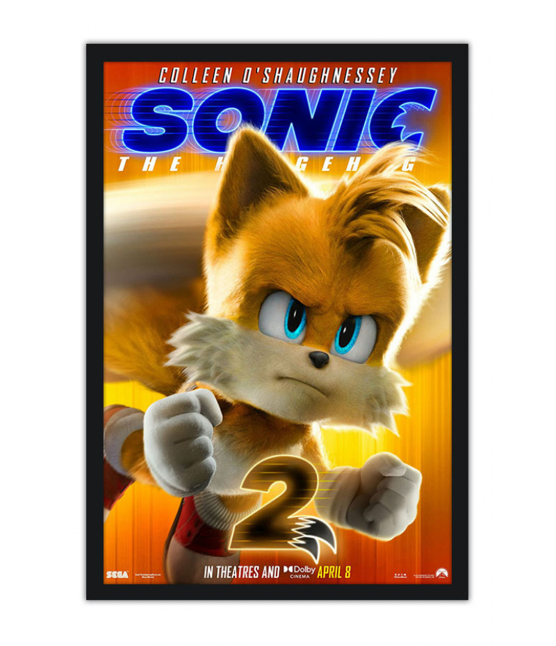 Quadro Decorativo Poster Desenho Sonic Game Infantil 2 em Promoção na  Americanas