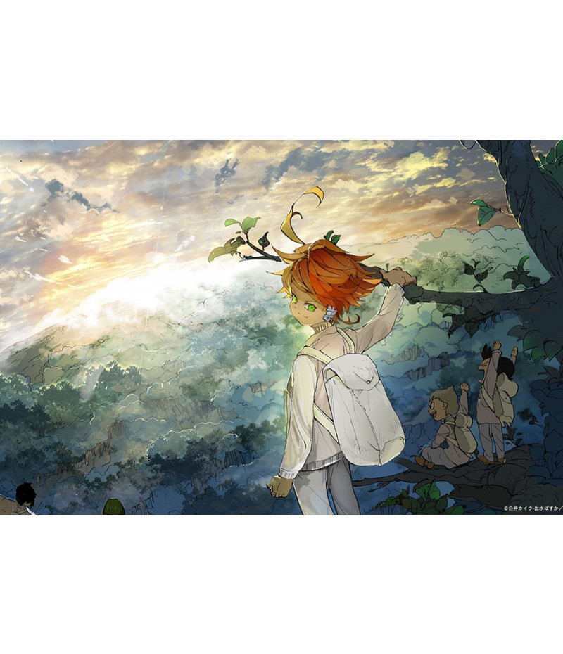 O prometido Neverland Emma Passing Paints Anime Scroll Poster Canvas, Anime  Scroll Poster Personagens pendurados em tela para decoração (Size :  60X90cm(23.62X35.43Inch))