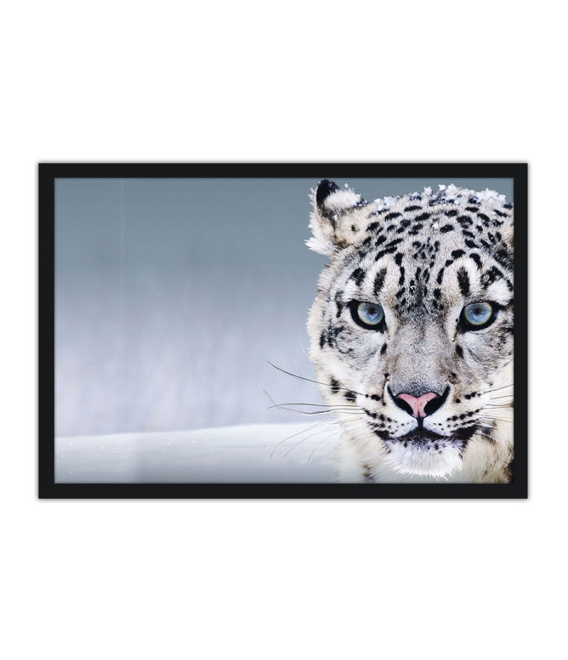 Poster Tigre Branco Na Neve - Animais – Natureza